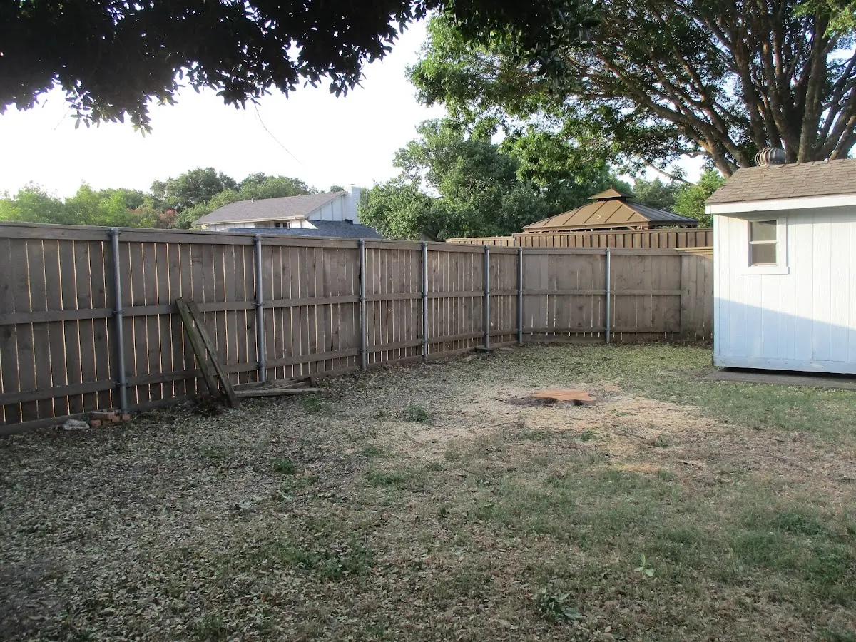 Cleared yard after professional tree removal in Wayne City
